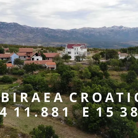 Sibiraea Croatica *