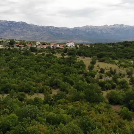 Privat bolig Sibiraea Croatica